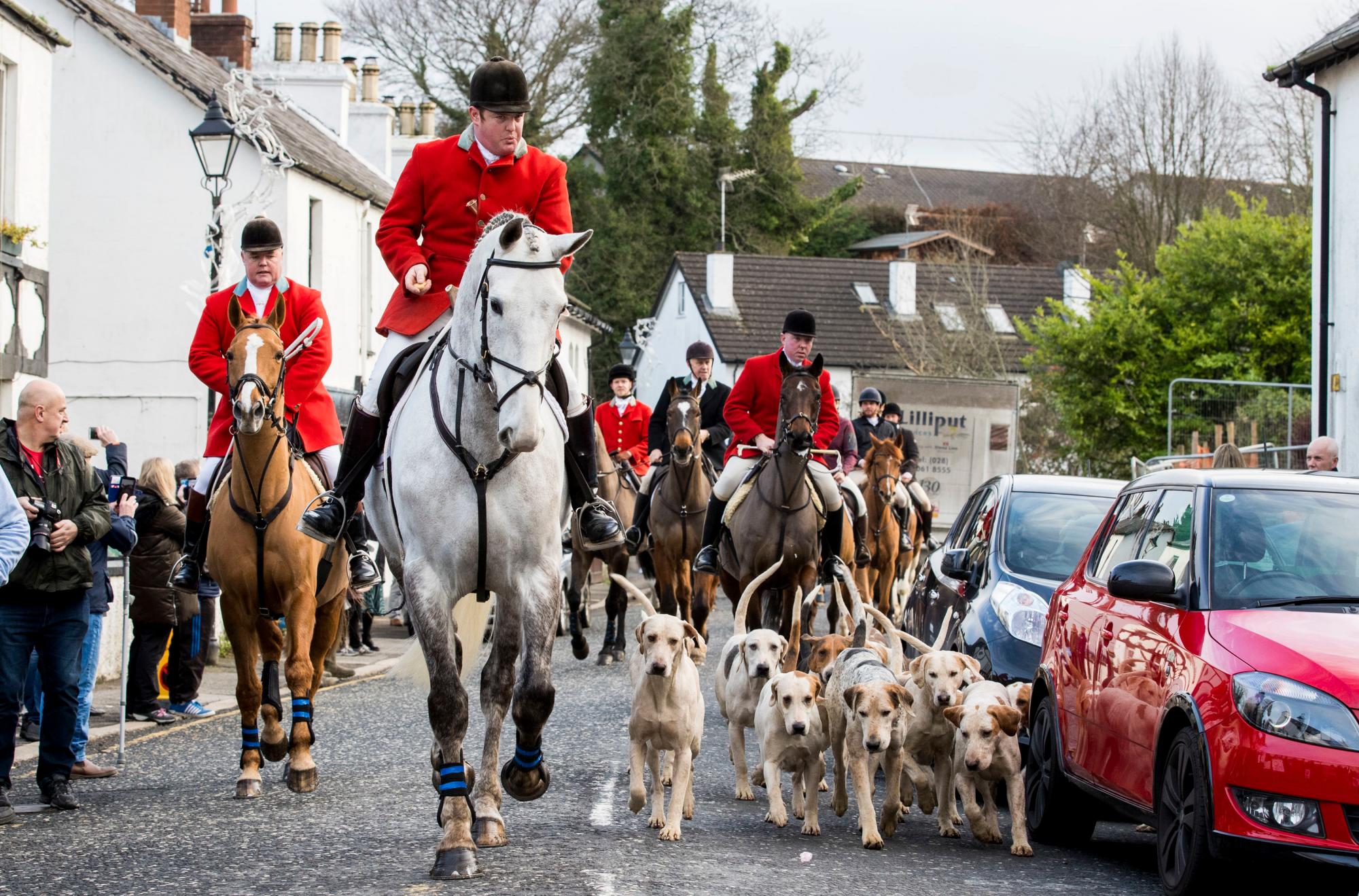 El Maestro de cazador conduce a los perros y jinetes a través de Main Street en Crawfordsburn, Irlanda del Norte, durante la búsqueda de Año Nuevo en North Down, el martes 1 de enero de 2019.