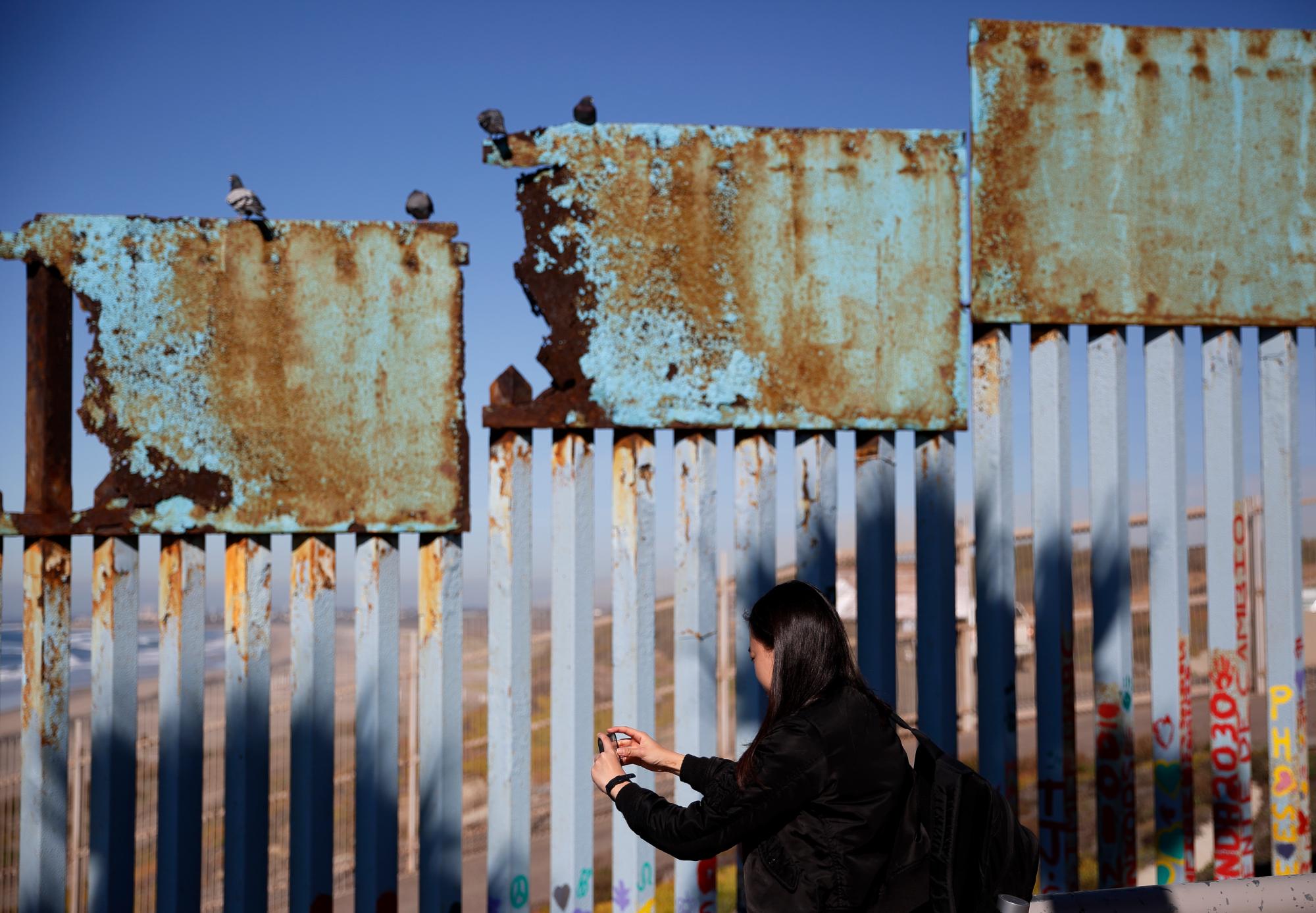 Una mujer toma fotos mientras las aves se sientan a lo largo de una sección superior oxidada de la pared fronteriza cerca de la playa en Tijuana, México.      