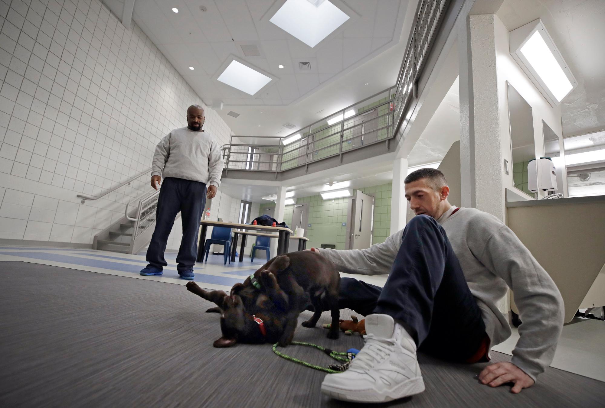 Justin Martin, a la derecha, y Jonathan Ladson, observan cómo juegan los cachorros en la cárcel del condado de Merrimack en Boscawen, N.H.