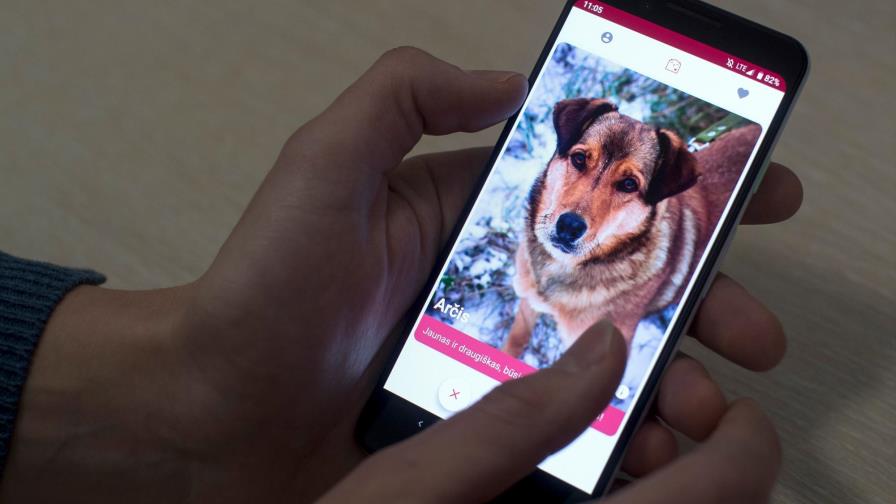 Tinder para perros