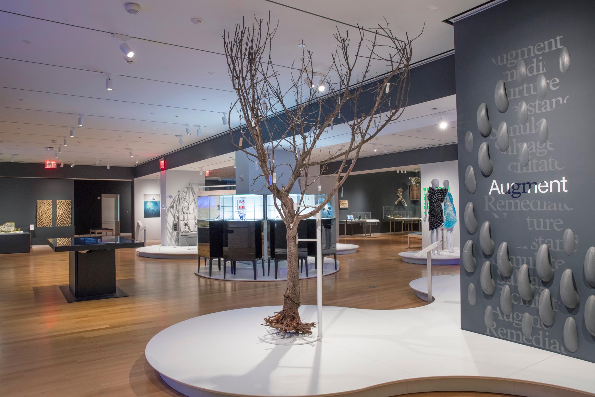 Esta foto del 9 de mayo de 2019 muestra una vista de un árbol como parte de una instalación de  “Nature-Cooper Hewitt Design trienal “ en el Cooper Hewitt, Smithsonian Design Museum en Nueva York.