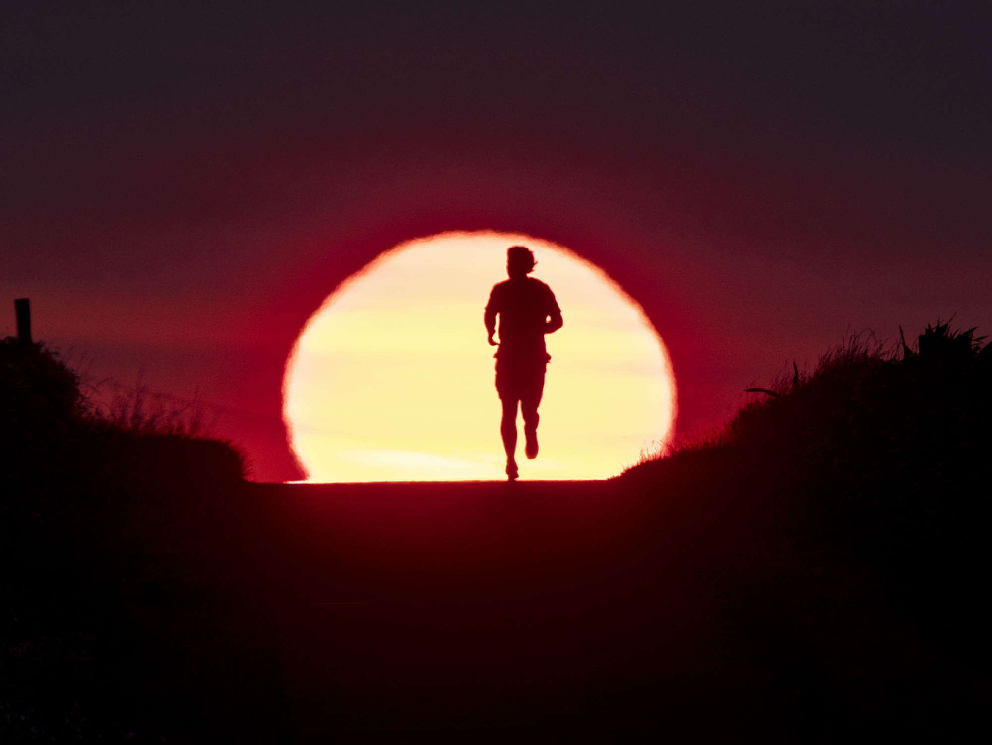 Un hombre corre por un pequeño sendero mientras sale el sol en Frankfurt, Alemania, el jueves 27 de junio de 2019. 