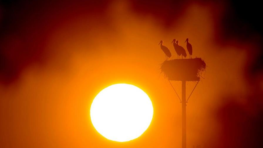 Onamet pronostica lluvias en la tarde de este lunes y temperaturas calurosas Onamet pronostica lluvias en la tarde de este lunes y temperaturas calurosas