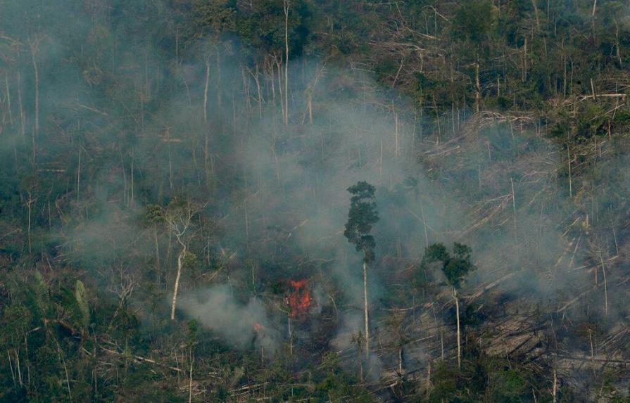 Ambientalistas llaman a la “acción” contra la deflagración en la Amazonía