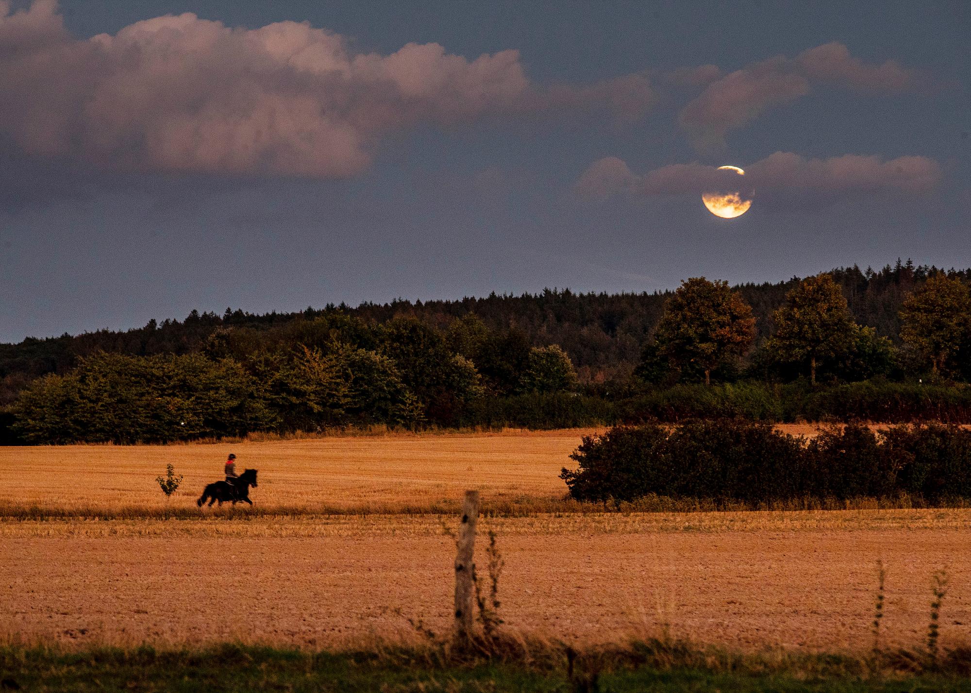Una mujer monta un caballo entre los campos cuando sale la luna en Wehrheim, cerca de Frankfurt, Alemania, el jueves 12 de septiembre de 2019. 