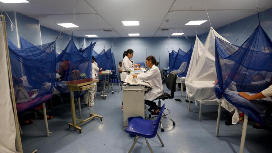 Sube a 142 la cifra de muertos por dengue grave en 2019 en Honduras Sube a 142 la cifra de muertos por dengue grave en 2019 en Honduras