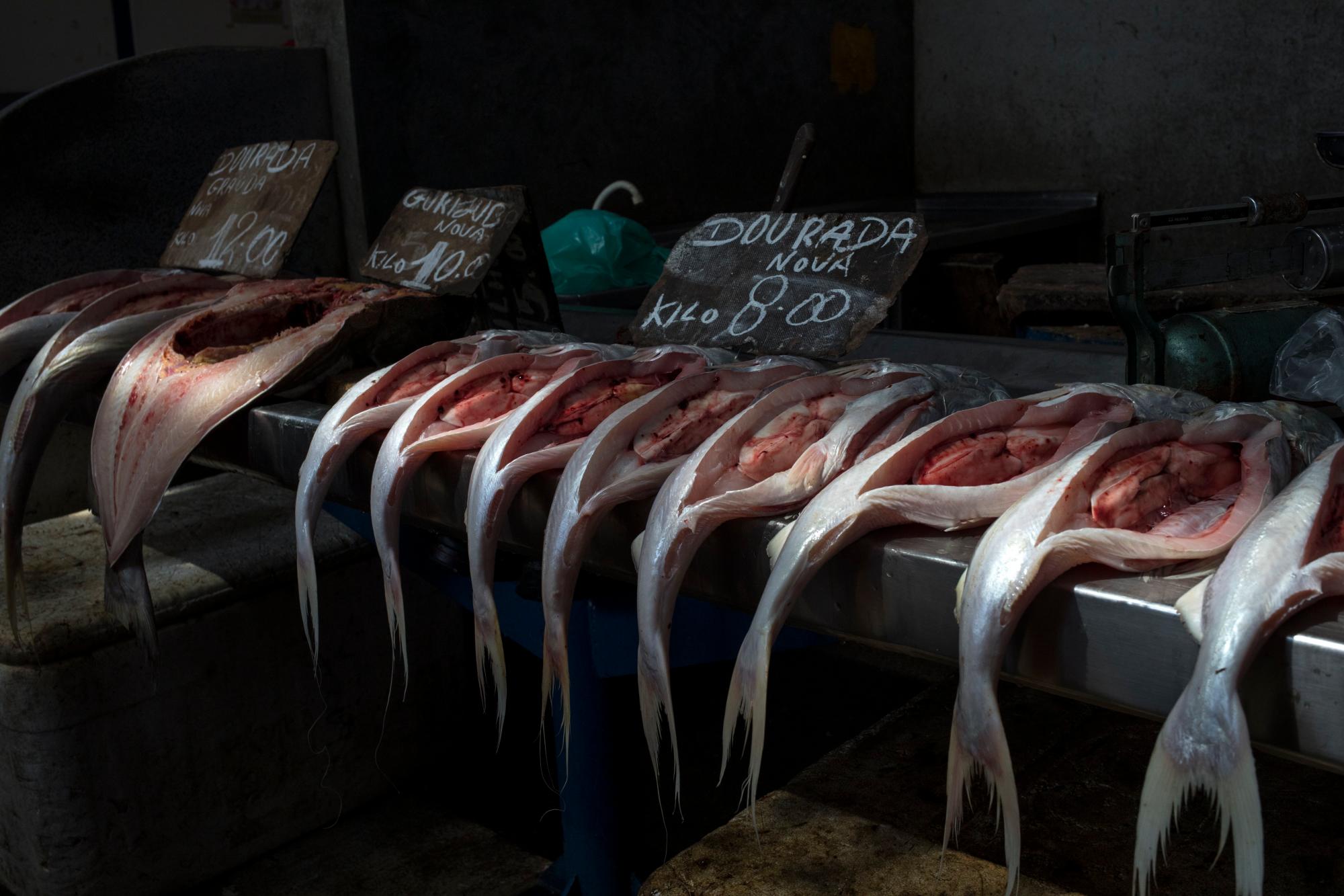 En esta foto del 1 de septiembre de 2019, se muestran peces para los clientes dentro del mercado ribereño Ver-o-Peso en Belém, Brasil. El mercado de Ver-o-Peso incluye muelles, la feria de acai, un mercado de carne y un mercado de pescado.