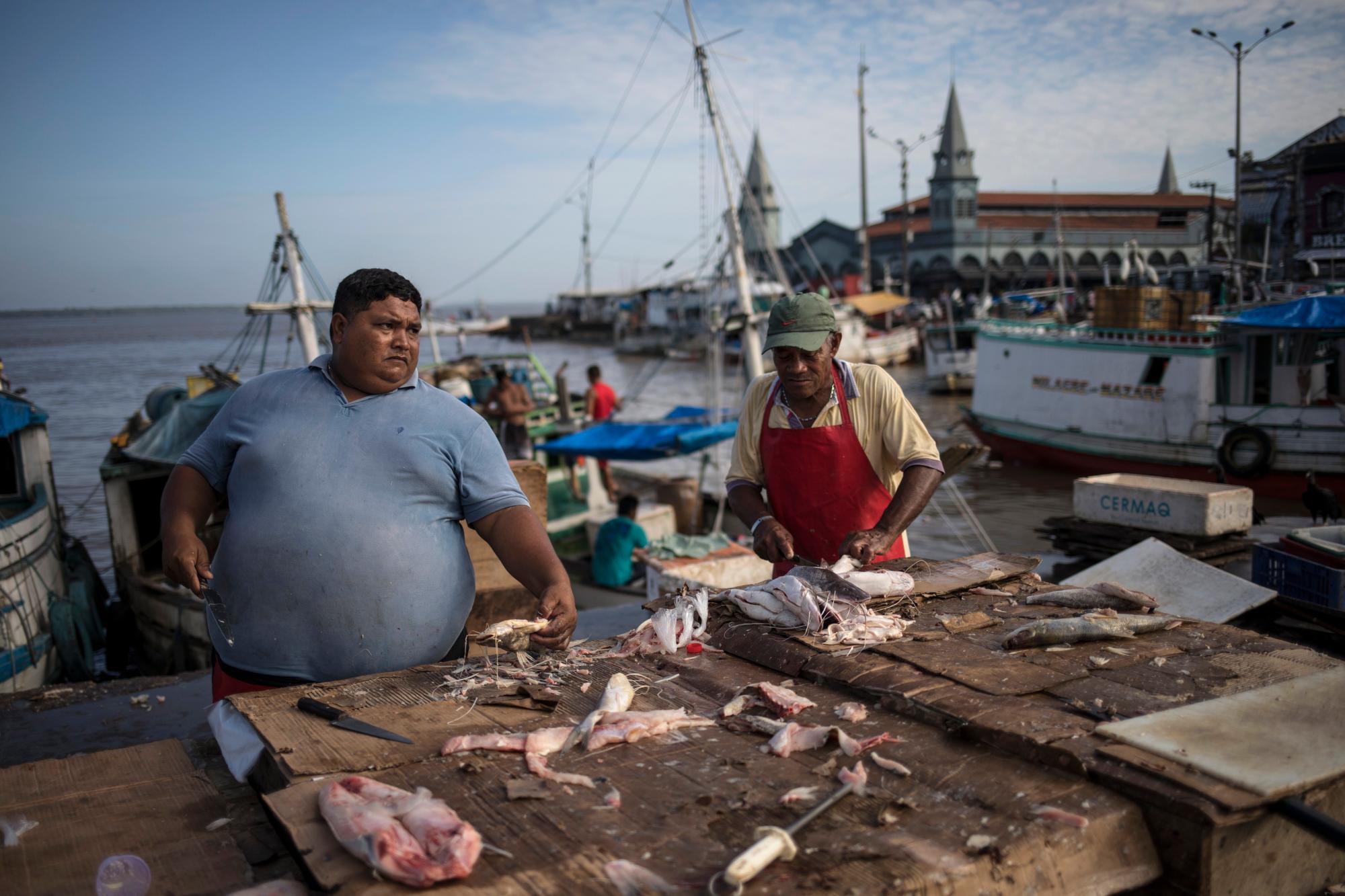 En esta foto del 7 de septiembre de 2019, los vendedores de pescado trabajan en sus puestos en el mercado junto al río Ver-o-Peso en Belém, Brasil. Ver-O-Peso en la ribera de la Bahía de Guajara fue originalmente un centro de recaudación de impuestos para los bienes del Amazonas pagados a la corona portuguesa. 