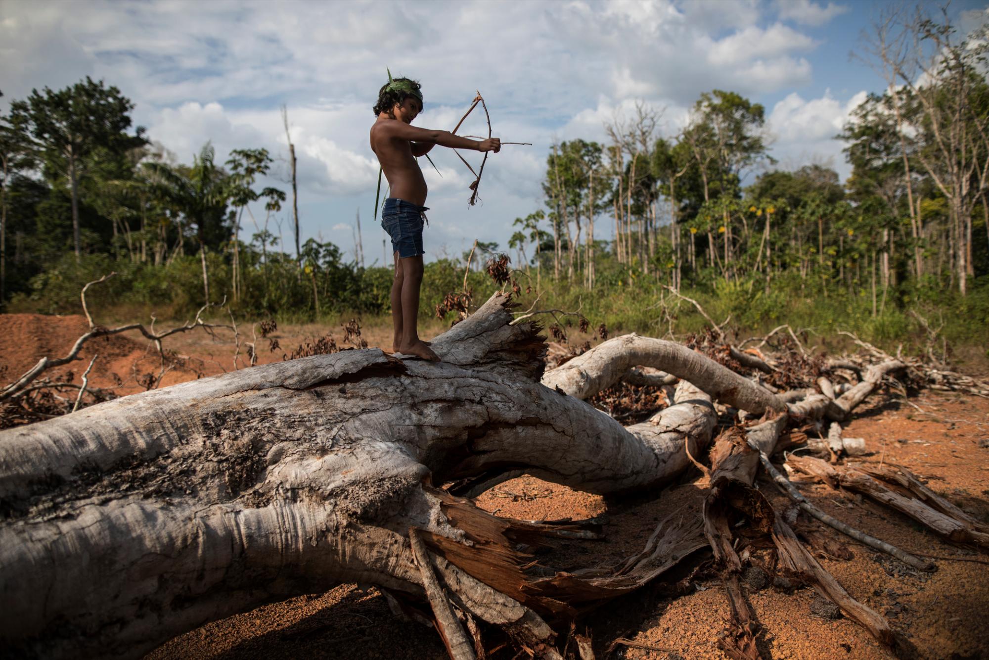 Flechas y celulares: la vida de Los Tembé en la Amazonía