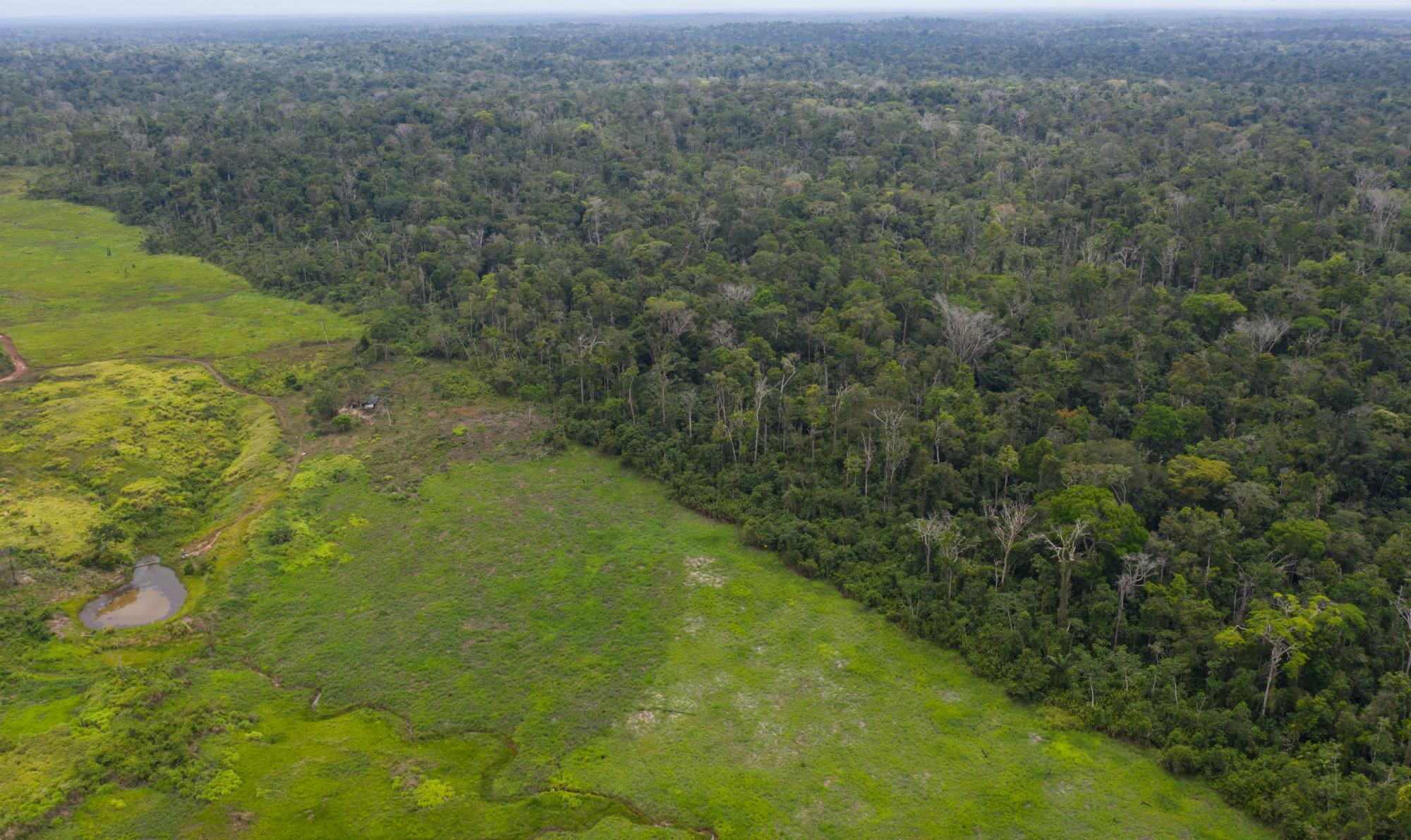 En esta imagen del 5 de septiembre de 2019, una vista aérea de la frondosa Reserva Indígena de Alto Rio Guama Indigenous Reserve junto a una zona deforestada propiedad de ganaderos, en el estado brasileño de Para. Imágenes por satélite tomadas por la Agencia Espacial Brasileña muestran un drástico aumento de la deforestación y los bosques forestales en el último año. 