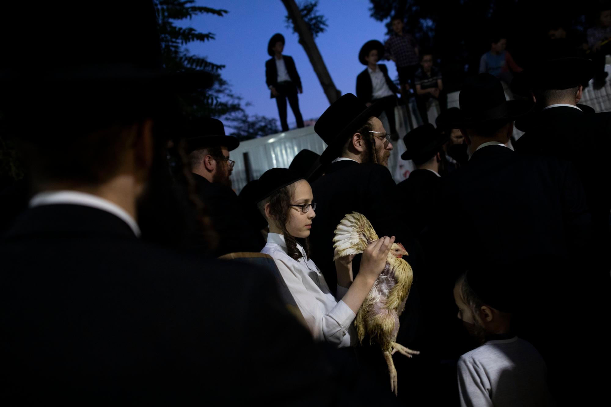 Un joven judío ultraortodoxo sostiene un pollo durante el ritual Kaparot en Bnei Brak, Israel, el lunes 7 de octubre de 2019. Los judíos observantes creen que el ritual transfiere los pecados del año pasado al pollo, y se realiza antes del día de Expiación, Yom Kippur, el día más sagrado del año judío que comienza al atardecer del martes. 