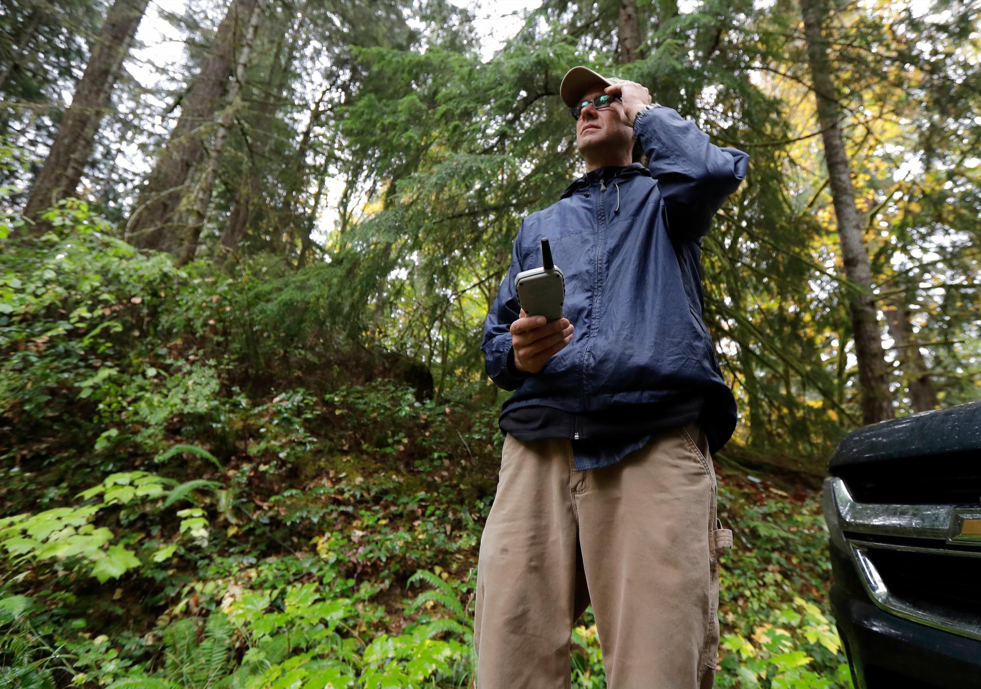 En esta foto del 23 de octubre de 2018, Dave Wiens, un biólogo que trabaja para el Servicio Geológico de EE. UU., Se encuentra en un bosque cerca de Corvallis, Oregon, mientras usa un control remoto para activar un dispositivo digital de llamada de pájaros destinado a atraer búhos barrados. para ser sacrificado “Creo que es un poco desagradable salir a matar búhos para salvar a otras especies de búhos”, dijo Wiens, quien todavía ve cada disparo como “desgarrador” como el primero. “Sin embargo, también siento que desde el punto de vista de la conservación, nuestra espalda estaba contra la pared. Sabíamos que los búhos barrados estaban compitiendo con los búhos moteados y sus poblaciones se estaban volviendo locas ”.