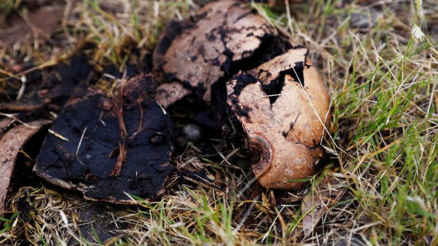 México: Hallan cráneos humanos en escondite de narcos