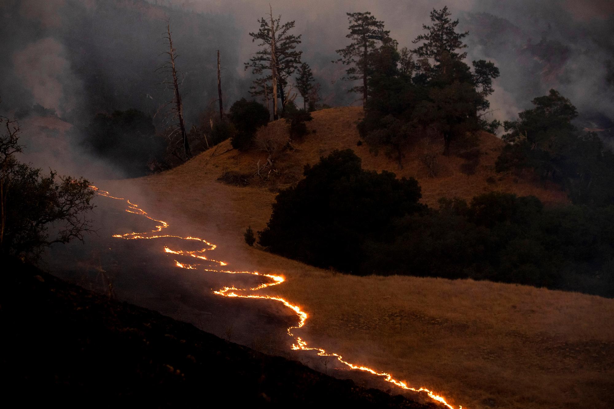 Una línea de fuego serpentea a lo largo de una ladera mientras los bomberos encienden los contrafuegos para frenar la propagación del incendio Kincade en el condado de Sonoma no incorporado, California, cerca de Geyservillle, el sábado 26 de octubre de 2019. 