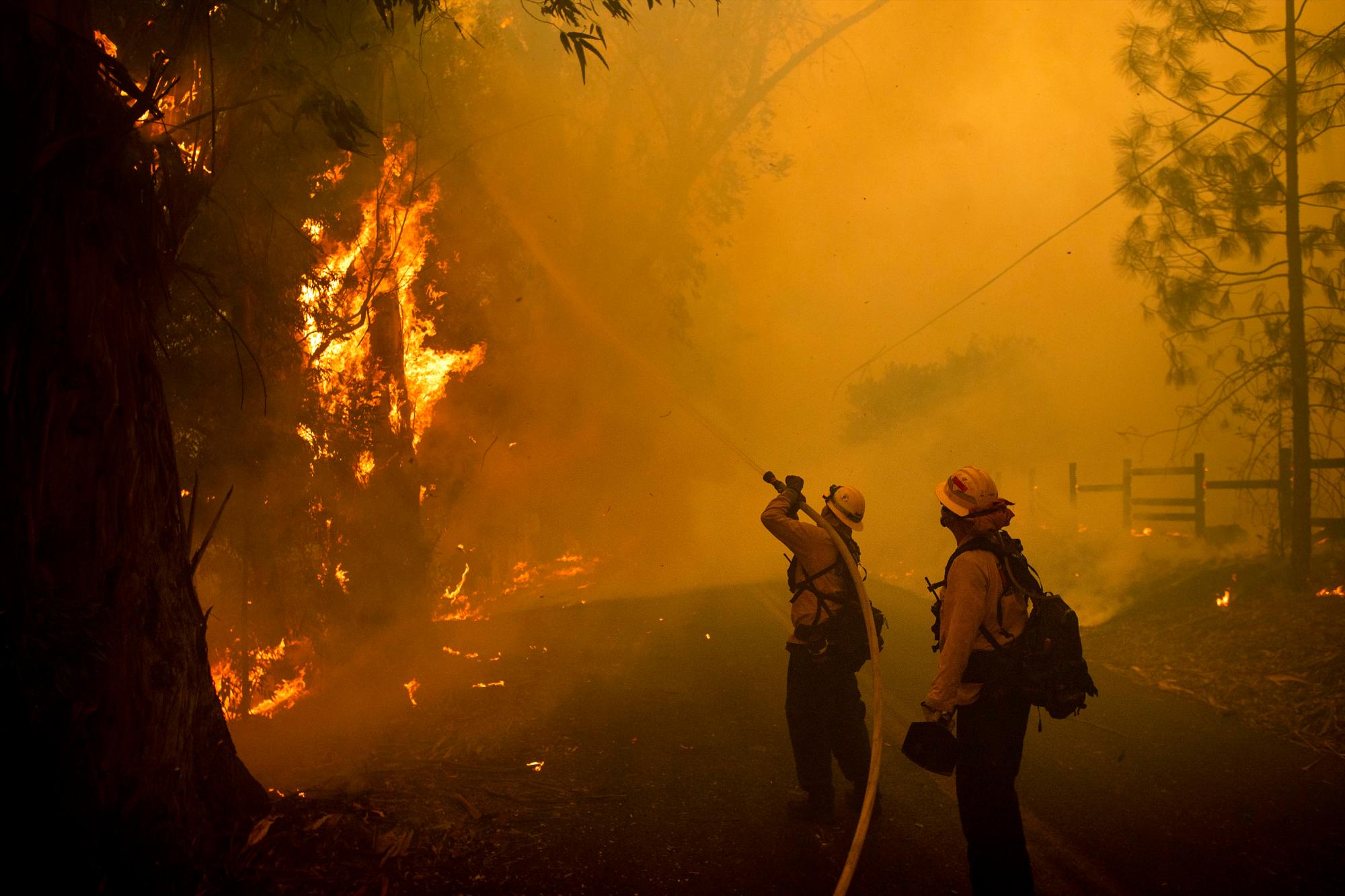 Los bomberos combaten un incendio forestal llamado Kincade Fire en Chalk Hill Road en Healdsburg, California, el domingo 27 de octubre de 2019.