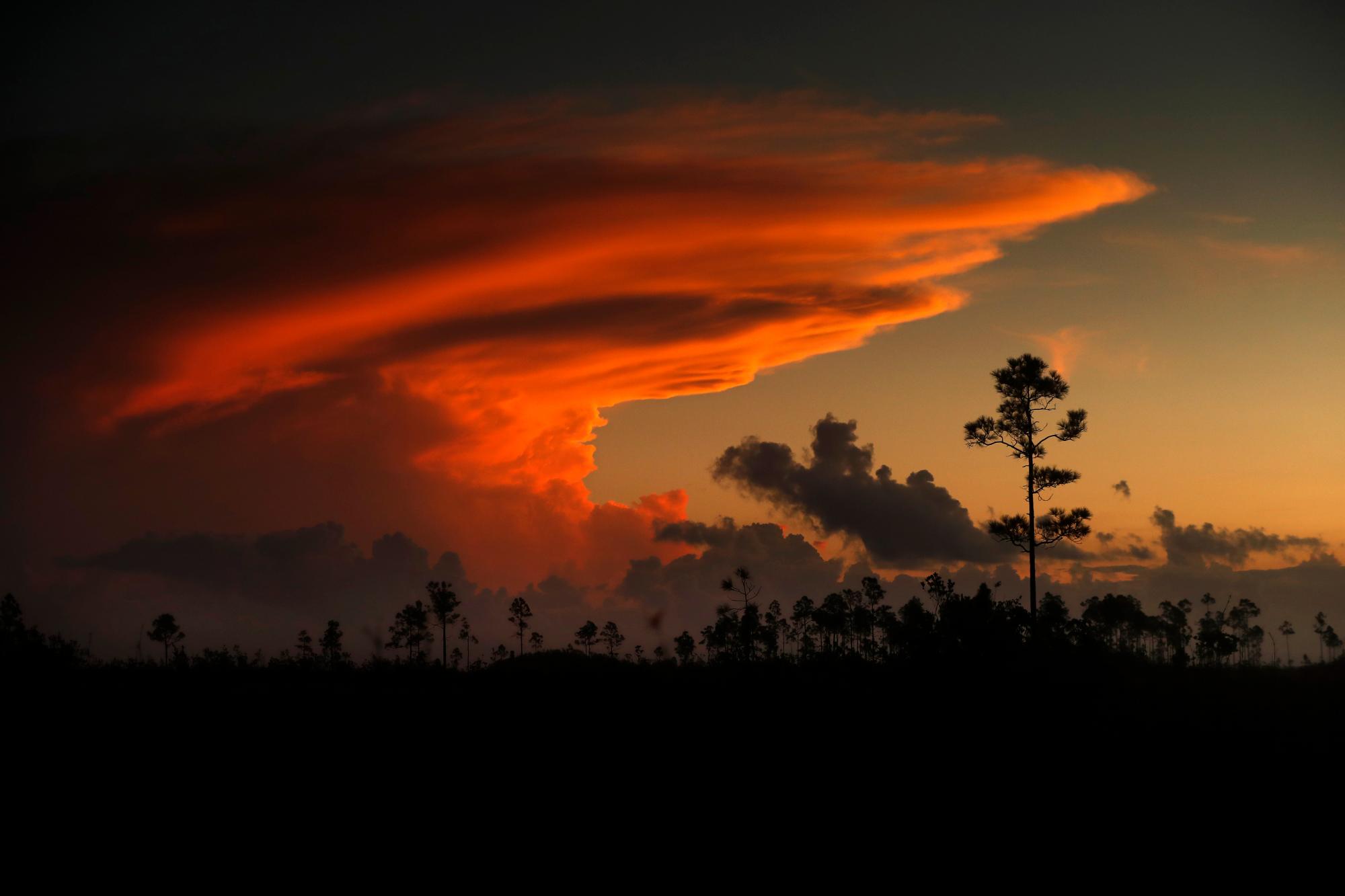 En esta foto del martes 22 de octubre de 2019, los primeros rayos de luz solar colorean las nubes sobre el Parque Nacional Everglades, cerca de Flamingo, Florida. El parque recibe casi 60 pulgadas de lluvia al año. “Aquí no hay picos elevados que buscan el cielo, ni poderosos glaciares ni corrientes que desgasten la tierra elevada”, dijo el presidente Harry S. Truman en un discurso del 6 de diciembre de 1947 dedicado al Parque Nacional Everglades. “Aquí hay tierra, tranquila en su tranquila belleza, que sirve no como fuente de agua, sino como el último receptor de la misma. A su abundancia natural le debemos la espectacular vida vegetal y animal que distingue a este lugar de todos los demás en nuestro país. “