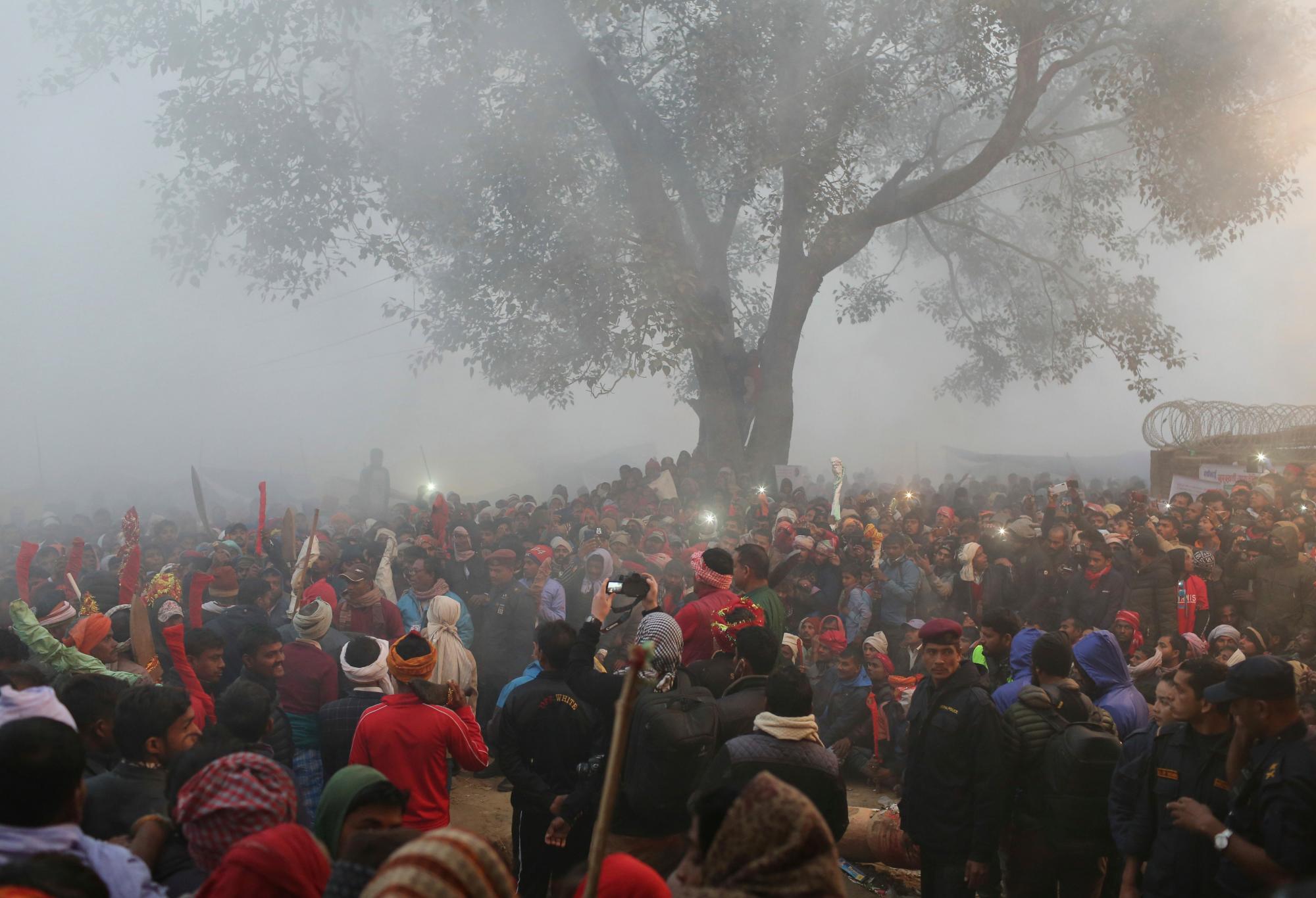 Los devotos hindúes se reúnen para observar el sacrificio de animales durante el festival de Gadhimai en Bariyarpur, en el distrito de Bara 80 millas (50 millas) al sur de Katmandú, Nepal, el martes 3 de diciembre de 2019. Cientos de miles de hindúes se han reunido en un templo aquí para una ceremonia que involucra La matanza de miles de animales. 