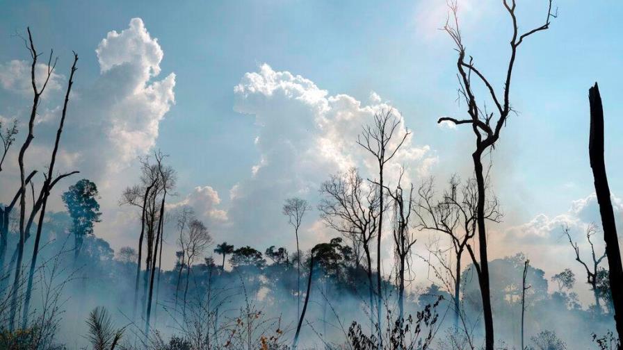 Deforestación de la Amazonía brasileña aumenta un 85,3 % en 2019