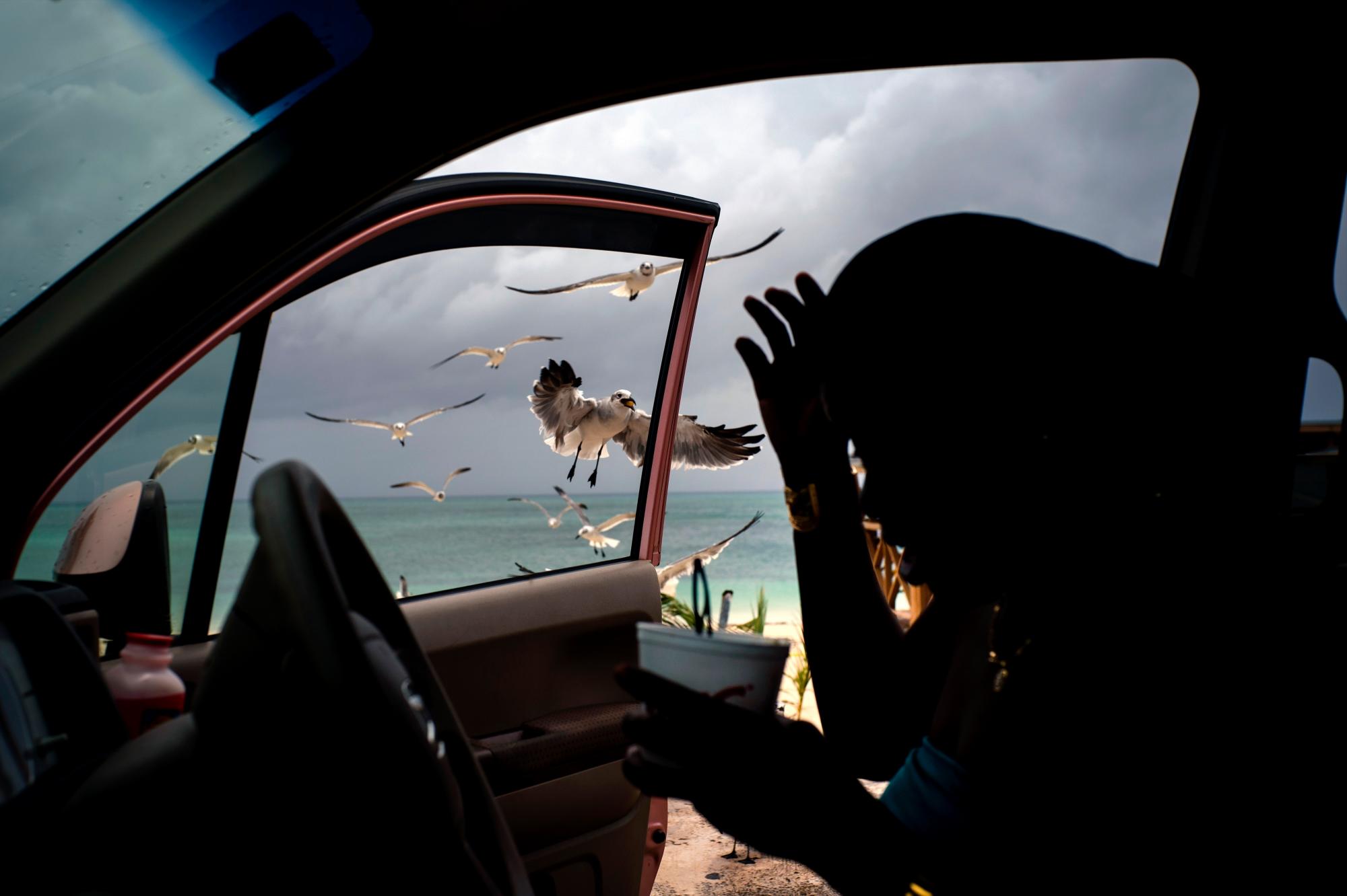 Las gaviotas vuelan hacia una mujer que las alimenta con papas fritas desde su automóvil en la playa de Taino antes de la llegada del huracán Dorian en Freeport, Gran Bahama, Bahamas, el 1 de septiembre de 2019. 