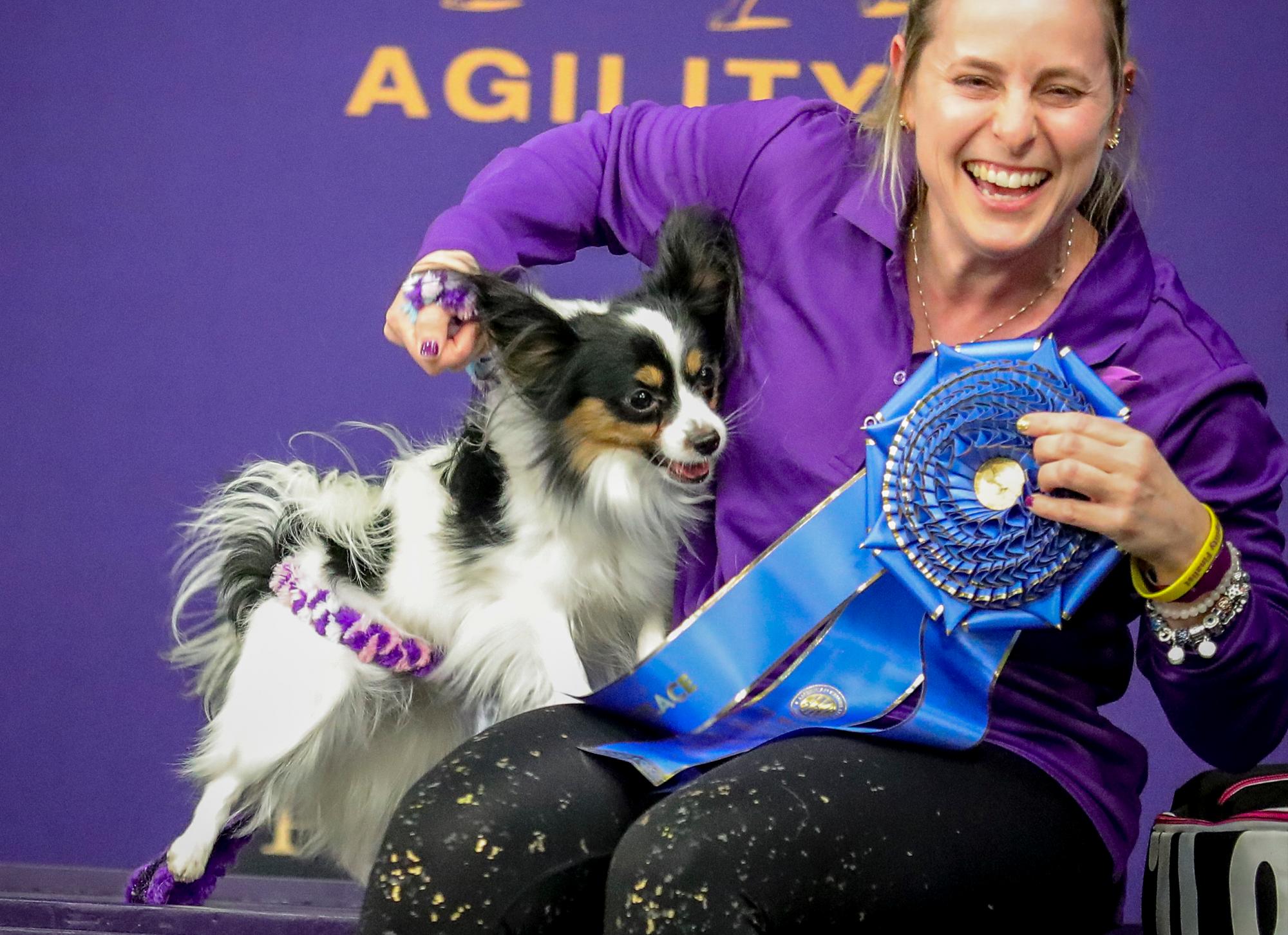 La manejadora Andrea Samuels tiene el primer lugar que Gabby, un papillon, ganó en la división de 8 pulgadas de la competencia de agilidad del Westminster Kennel Club el sábado 8 de febrero de 2020, en Nueva York. 