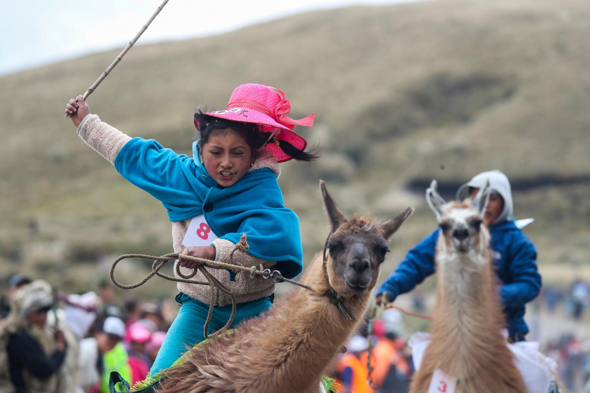 En esta imagen, tomada el 8 de febrero de 2020, Milena Jami monta una llama para ganar una carrera del grupo de niños de 7 y 8 años, en el Parque Nacional de Llanganates, Ecuador. Las llamas, un animal emblemático de los Andes en Sudamérica, son la estrella durante un día al año, cuando los ecuatorianos las visten para que los niños las monten en carreras de 500 metros. El evento anual busca llamar la atención sobre los humedales del parque nacional y la necesidad de preservarlos. (AP Foto/Dolores Ochoa)