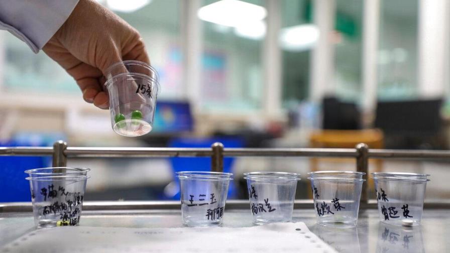 Moody´s rebaja la previsión de crecimiento de China al 5,2 % por coronavirus Moody´s rebaja la previsión de crecimiento de China al 5,2 % por coronavirus