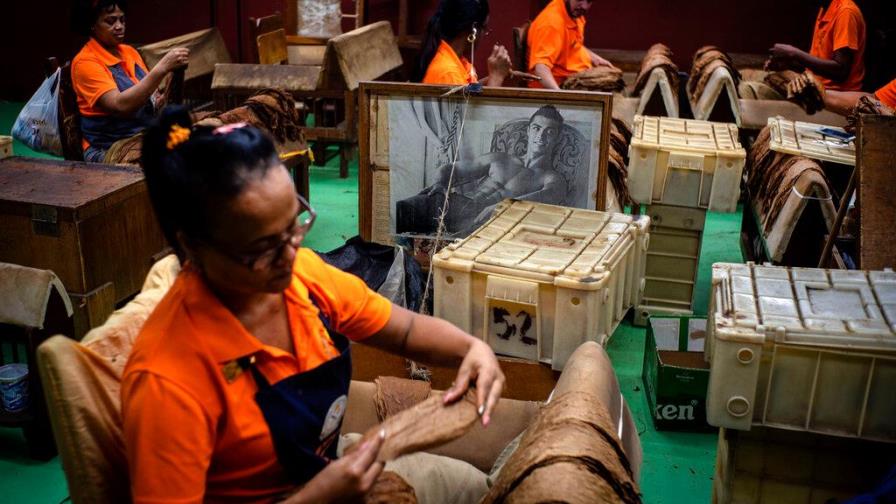 Subasta en Festival del Habano rompe récord con 4,71 millones de dólares
