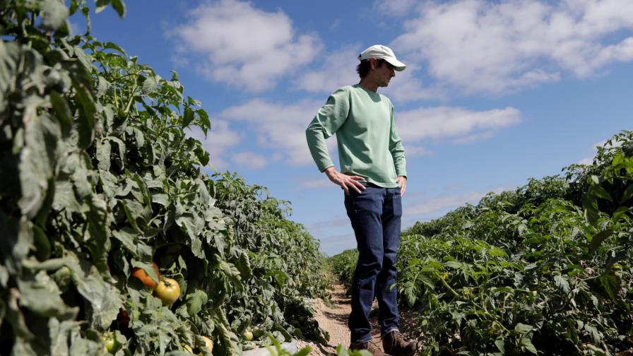 Trump anuncia ayuda por USD 19.000 millones para el sector agrícola de EEUU