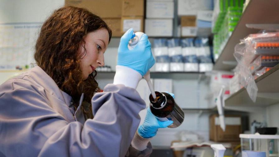 Rusia anuncia su vacuna contra el COVID-19 ha sido exitosa; hará vacunación masiva a partir de octubre