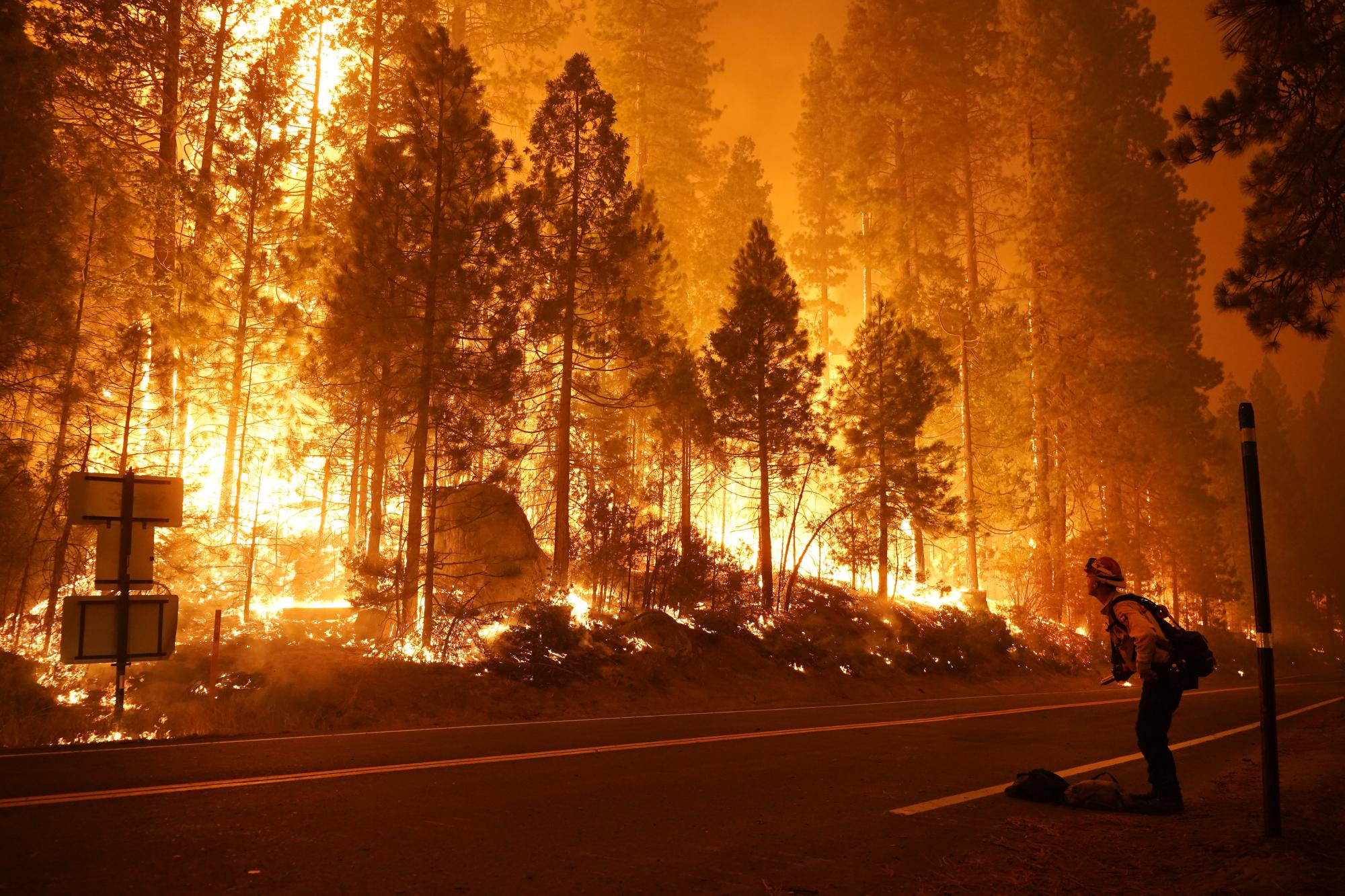 Incendios forestales azotan California una vez más