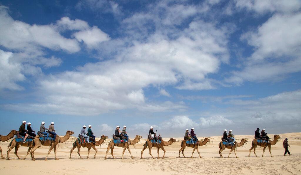 Los camellos son guiados por su guía mientras los turistas disfrutan de un paseo por las dunas de arena en Stockton Beach cerca de Nelson Bay, Australia. Stockton Beach alberga las dunas de arena móviles continuas más grandes del hemisferio sur, con algunas más 30 metros (98 pies) de altura.