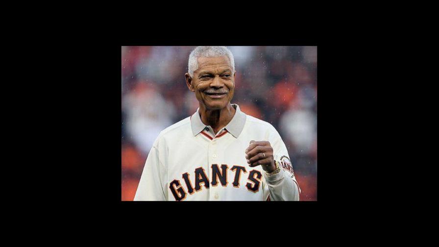 Verdaderos caballos en una campaña