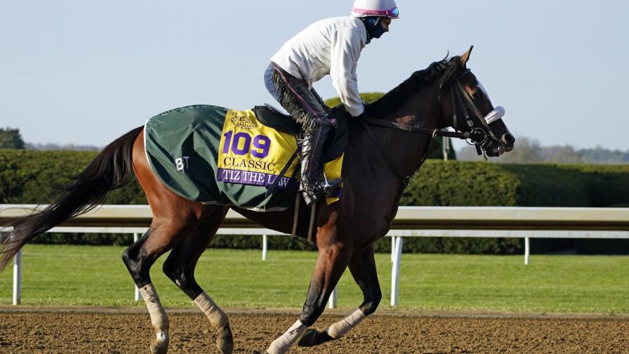 Tiz the Law  ganador del Belmont Stakes no seguirá compitiendo