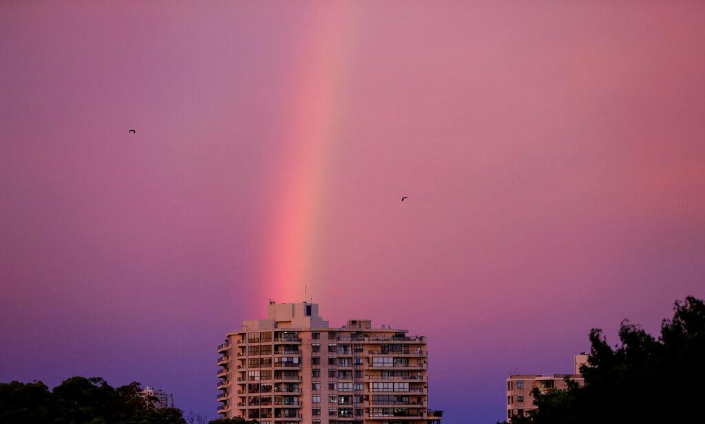 Un par de murciélagos vuelan hacia un arco iris al atardecer en Sydney, Australia.