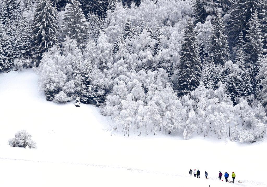 La gente camina con sus trineos a lo largo de árboles cubiertos de hielo durante el invierno helado en la provincia italiana de habla alemana del Tirol del Sur en Rasun-Anterselva, Italia.