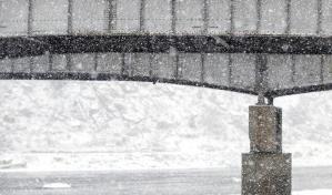 El deshielo en las regiones polares aflora suelos fértiles y diversos