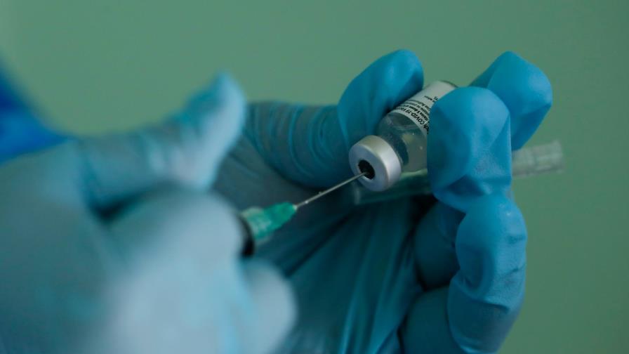 Simios de un zoológico de EEUU, primeros animales en recibir vacuna anticovid