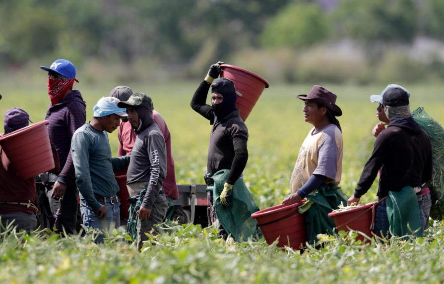 Trabajadores agrícolas de EEUU no son inmunizados
