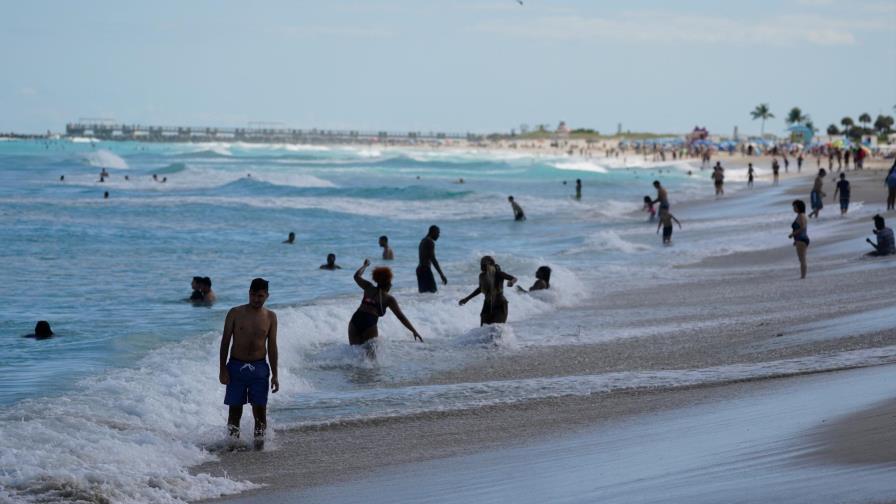 Piden ayuda a bañistas de Florida en temporada de desove de tortugas marinas