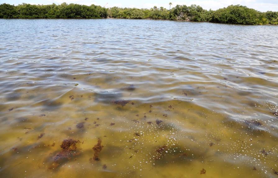 Analizan aguas de importante bahía de Florida cercana a embalse contaminado