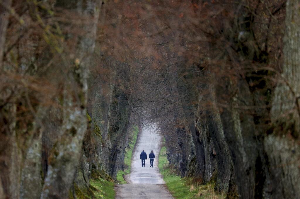 Una pareja camina un sendero flanqueado por árboles que han cumplido más de 200 años en Marktoberdord, Alemania. (Karl-Josef Hildenbrand/dpa via AP)