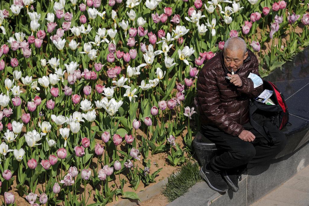 Un hombre toma unas medicinas tras remover su mascarilla junto a un campo de tulipanes sembrado en un un edificio comercial de Beijing.  (AP Photo/Andy Wong)