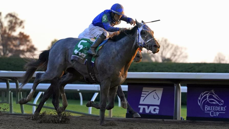 Luis Sáez y su oportunidad de revancha en el Derby de Kentucky