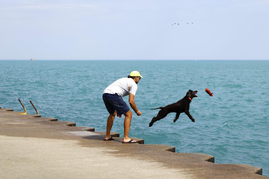 Un hombre juega con un perro en la playa Montrose, en el Lago Michigan de Chicago. (AP Photo/Shafkat Anowar)