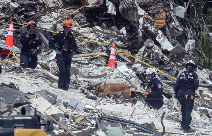 Miami: Hallan vivo a gato que estaba en edificio derrumbado