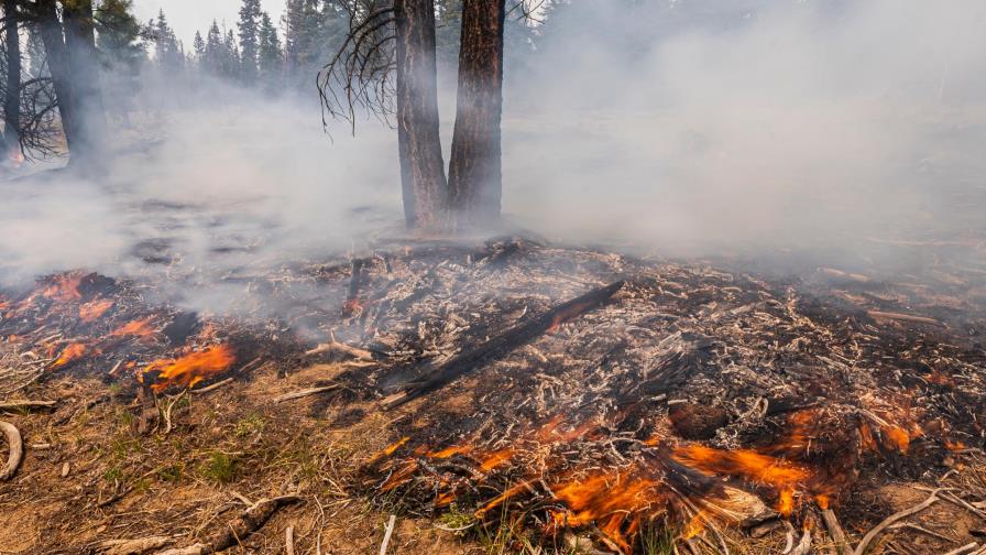Más de 22 mil bomberos combaten 86 grandes incendios en Estados Unidos
