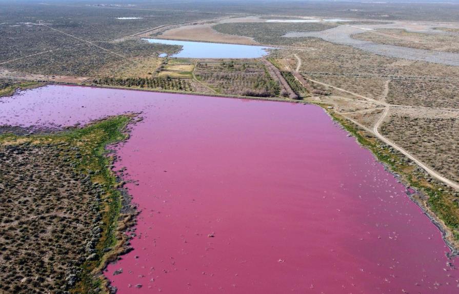Color rosa de laguna argentina alerta a ambientalistas