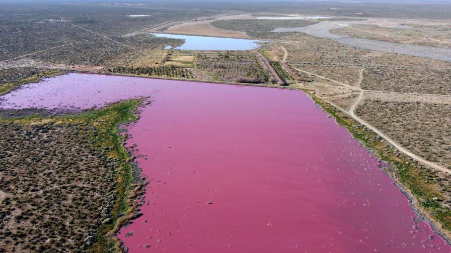 Color rosa de laguna argentina alerta a ambientalistas Color rosa de laguna argentina alerta a ambientalistas