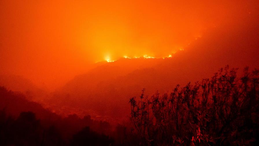 Preocupación en California por un incendio cerca de las gigantescas secuoyas Preocupación en California por un incendio cerca de las gigantescas secuoyas