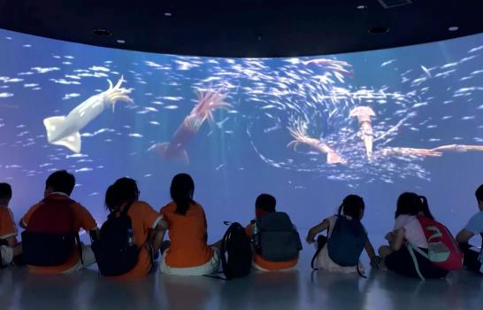 El Gran Muro de Luz: el poder marítimo chino en Sudamérica